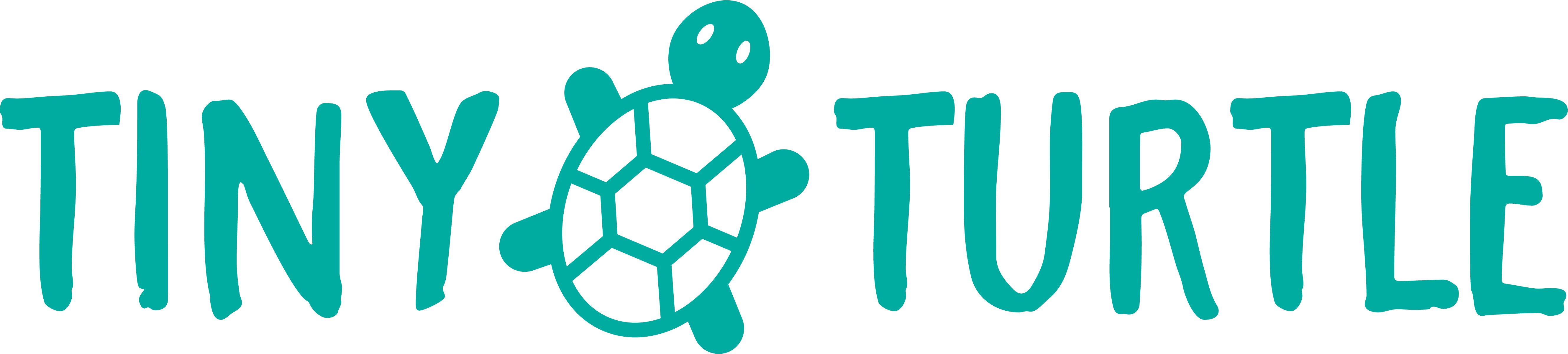 Tiny Turtle Baby Food